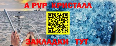 дмт Новозыбков