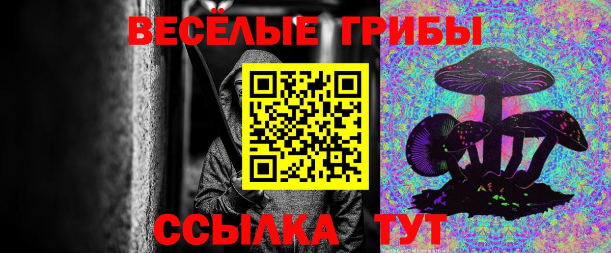 Ступино  сколько стоит  Вход с VPN  Галлюциногенные грибы мицелий 